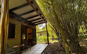 3 Bamboo Lodge