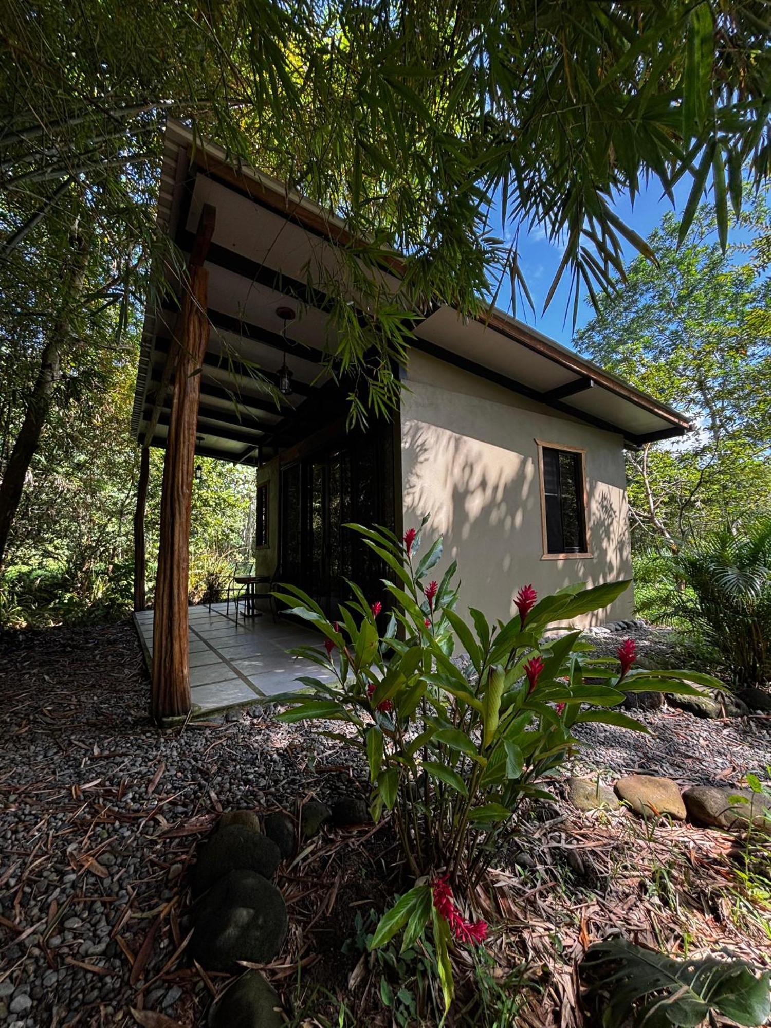 Bamboo River Lodge Horquetas Exterior photo